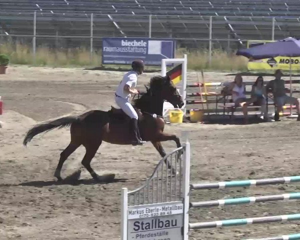Leutkirch-Haid 2013
