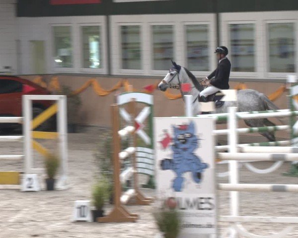 Reitturnier Salzkotten 2024