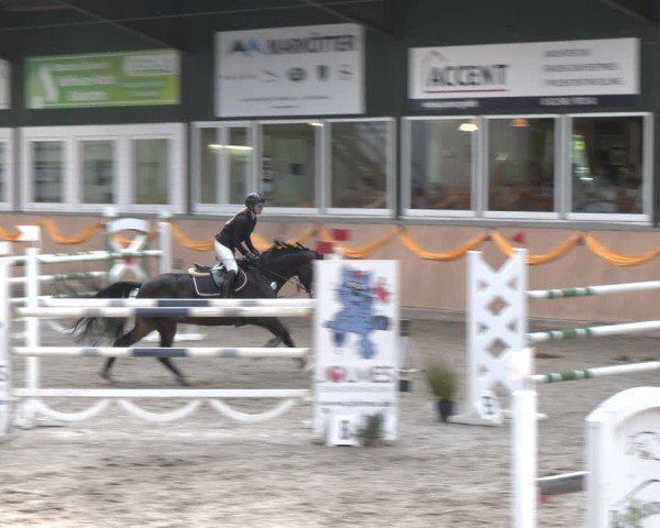Reitturnier Salzkotten 2024