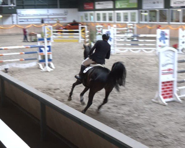 Reitturnier Salzkotten 2024