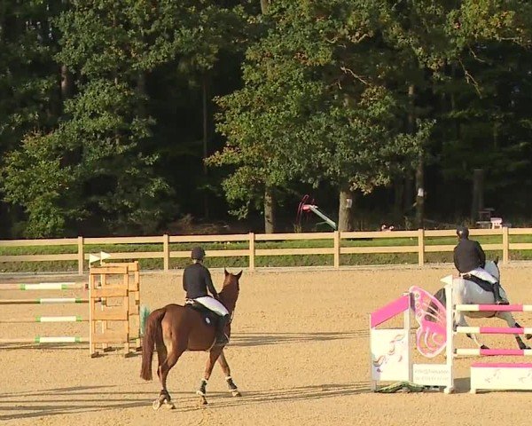 Reitturnier Tiefenhof/Opf. 2024