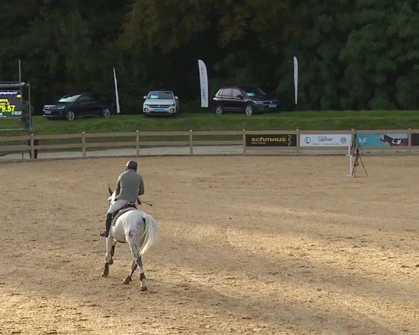 Reitturnier Tiefenhof/Opf. 2024