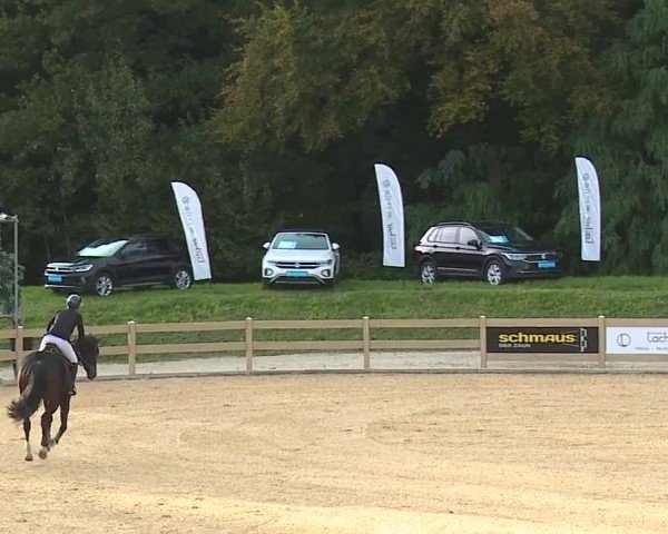 Reitturnier Tiefenhof/Opf. 2024