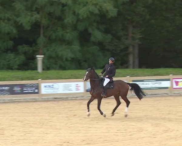 Reitturnier Tiefenhof/Opf. 2024