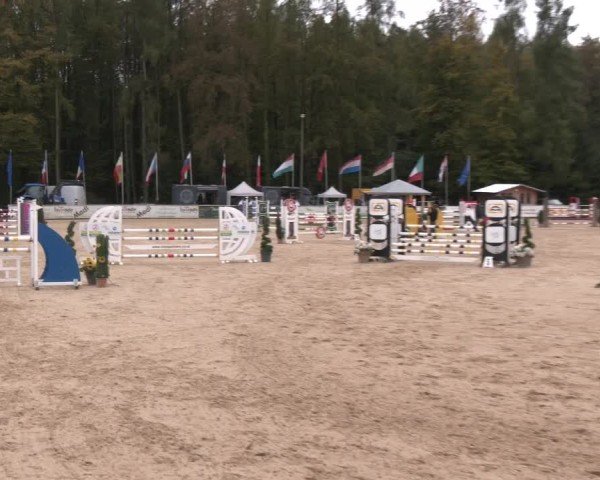 Reitturnier Ranshofen - Braunau am Inn 2024
