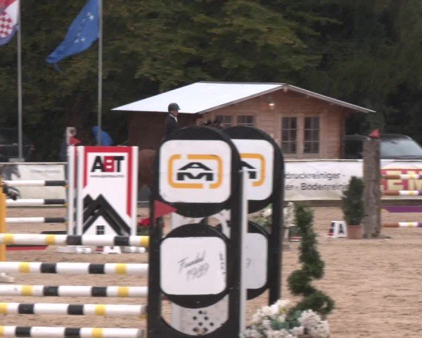 Reitturnier Ranshofen - Braunau am Inn 2024