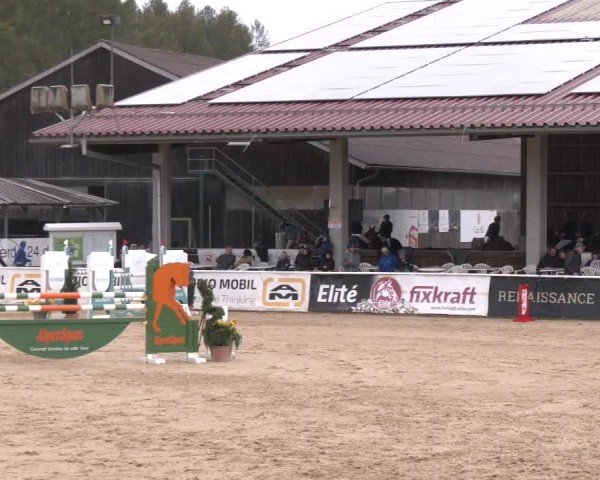 Reitturnier Ranshofen - Braunau am Inn 2024