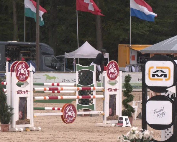 Reitturnier Ranshofen - Braunau am Inn 2024