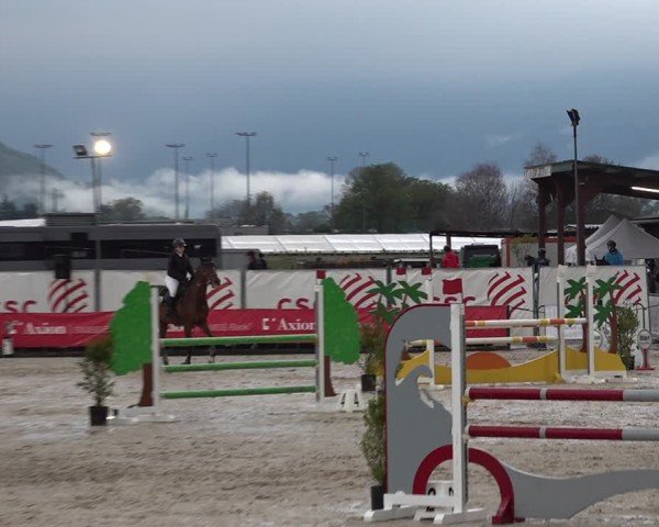 Reitturnier Giubiasco 2024