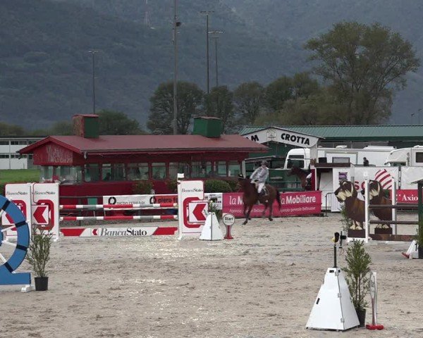 Reitturnier Giubiasco 2024