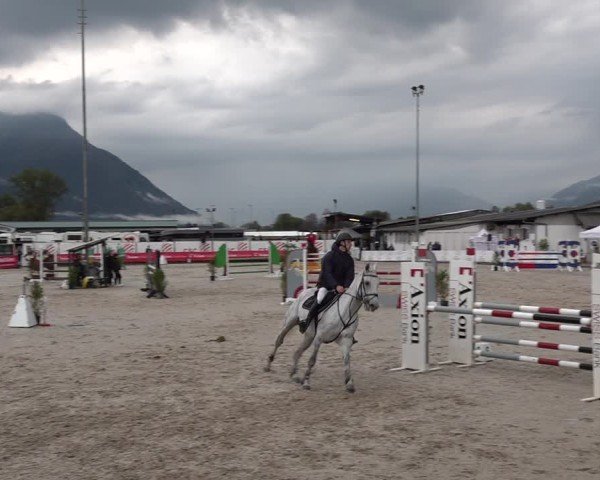 Reitturnier Giubiasco 2024