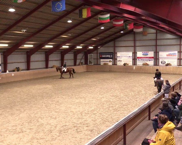Reitturnier Behrendorf 2024