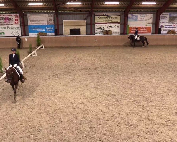 Reitturnier Behrendorf 2024