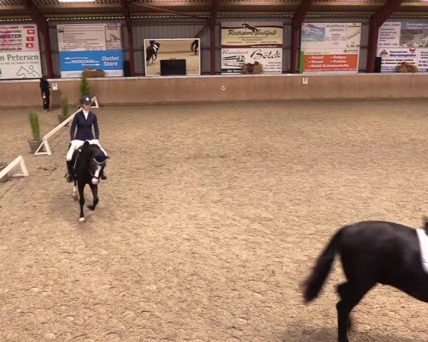 Reitturnier Behrendorf 2024