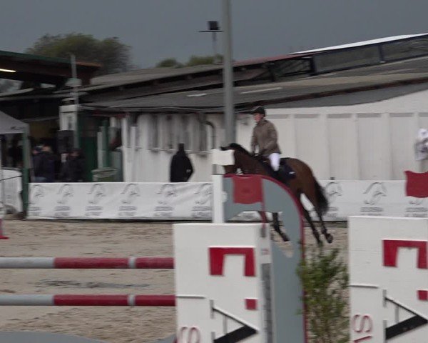 Reitturnier Giubiasco 2024