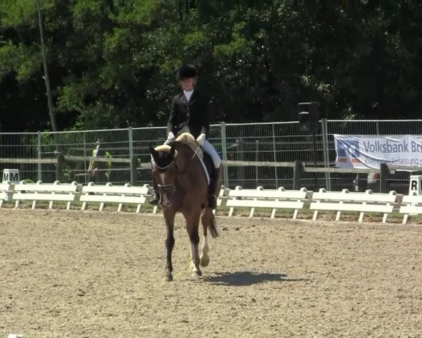 60. Lobbericher Reitsportfestival 01.-04.08.2013