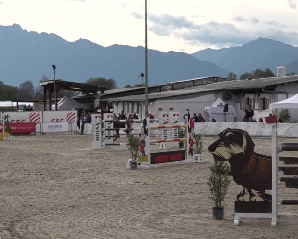 Reitturnier Giubiasco 2024