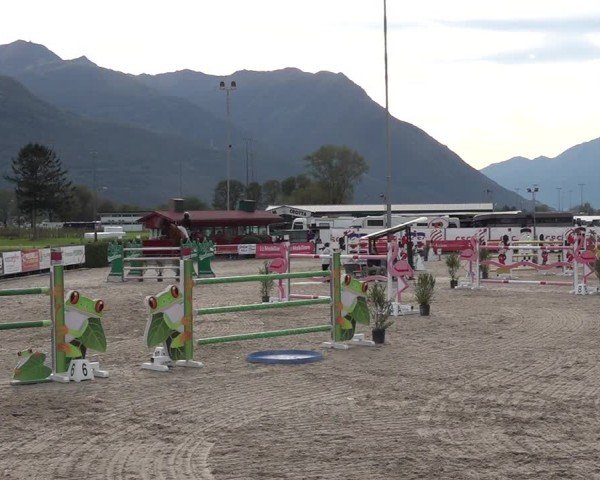 Reitturnier Giubiasco 2024