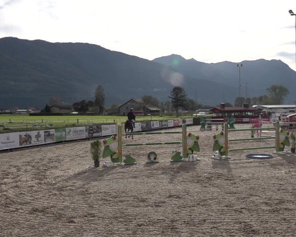 Reitturnier Giubiasco 2024