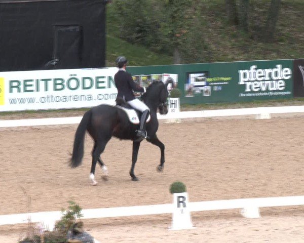 Reitturnier Stadl-Paura 2024