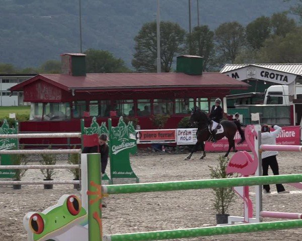 Reitturnier Giubiasco 2024