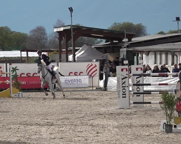 Reitturnier Giubiasco 2024
