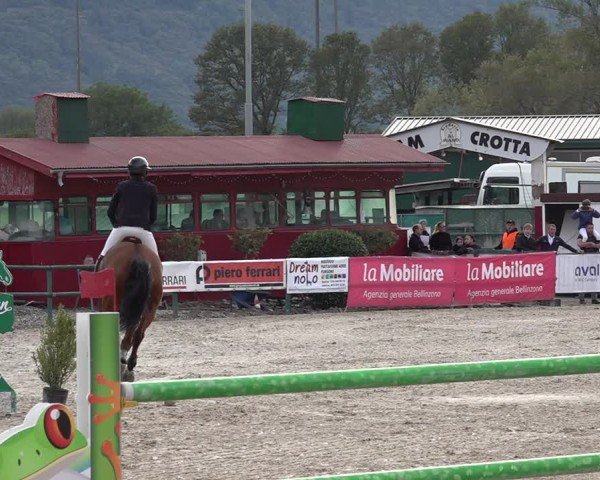 Reitturnier Giubiasco 2024