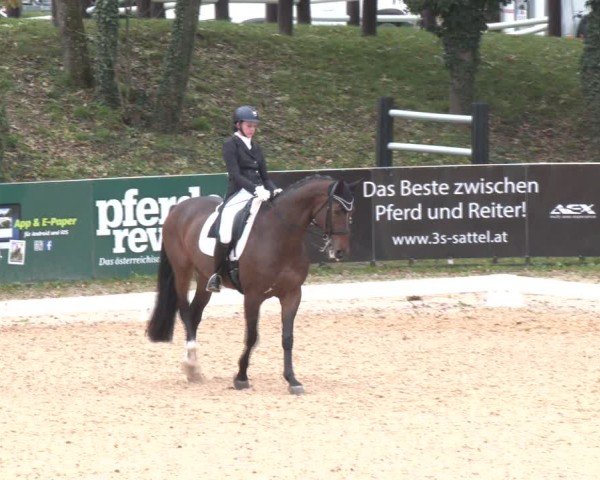 Reitturnier Stadl-Paura 2024