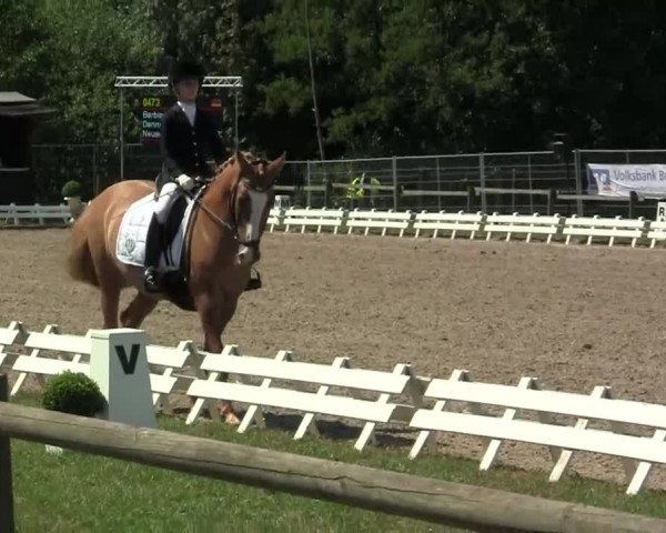 60. Lobbericher Reitsportfestival 01.-04.08.2013