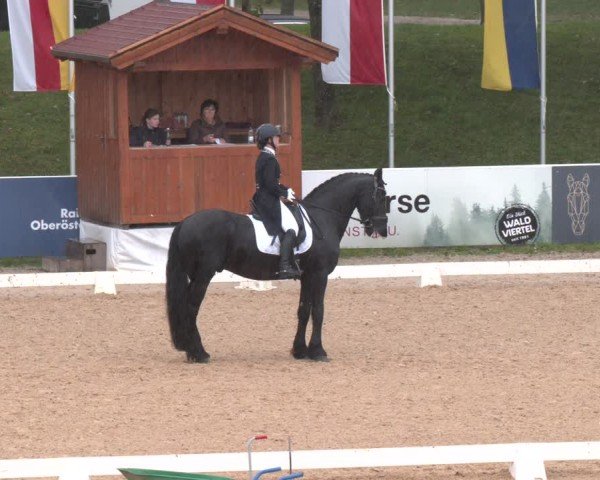 Reitturnier Stadl-Paura 2024