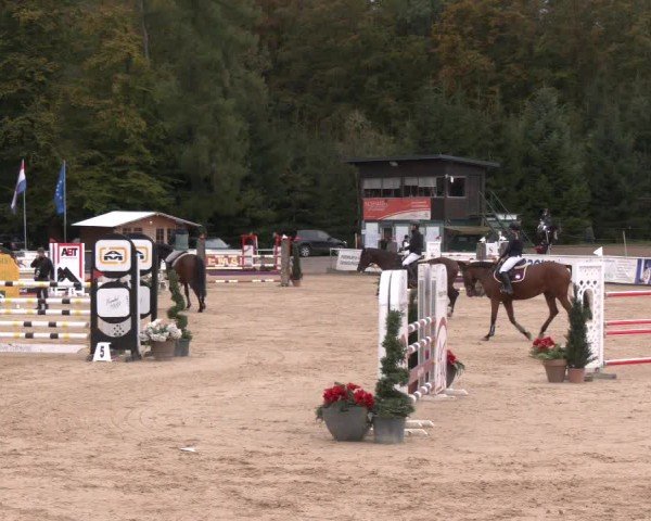 Reitturnier Ranshofen - Braunau am Inn 2024