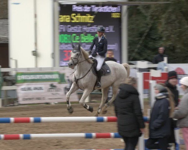 Reitturnier Teupitz 2024