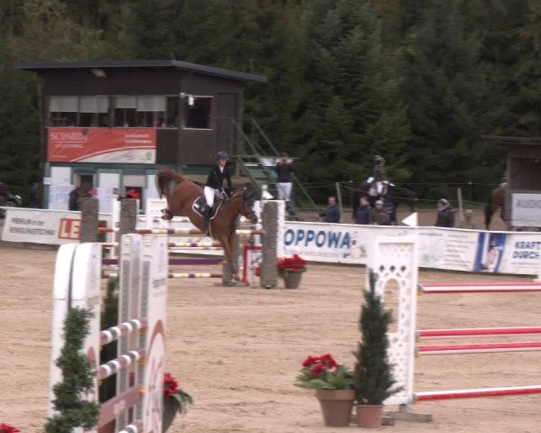 Reitturnier Ranshofen - Braunau am Inn 2024