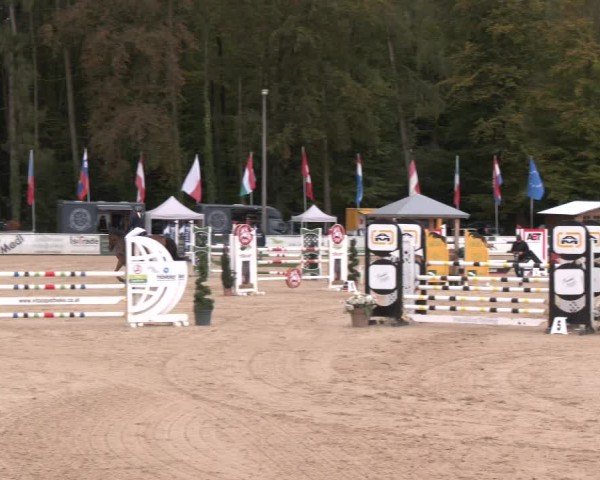 Reitturnier Ranshofen - Braunau am Inn 2024