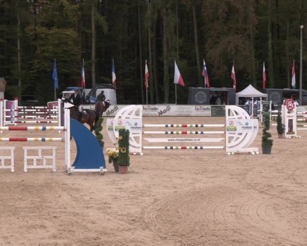 Reitturnier Ranshofen - Braunau am Inn 2024
