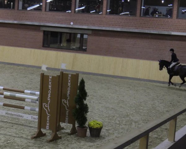 Reitturnier Paderborn 2021