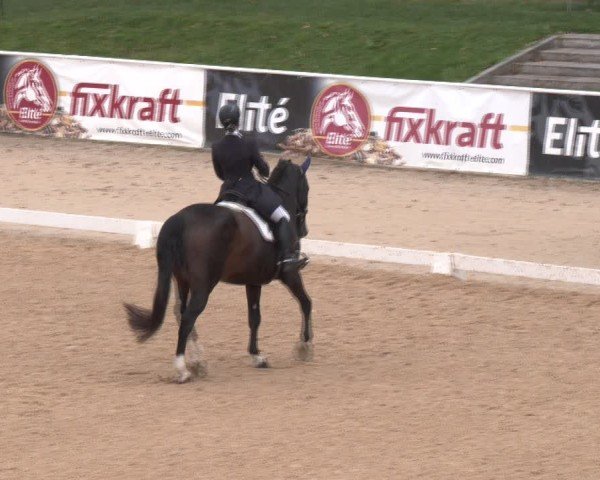 Reitturnier Stadl-Paura 2024