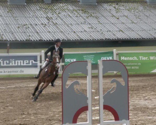 Reitturnier Teupitz 2024