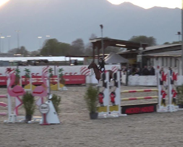 Reitturnier Giubiasco 2024