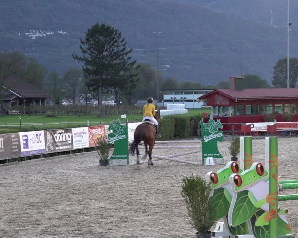 Reitturnier Giubiasco 2024