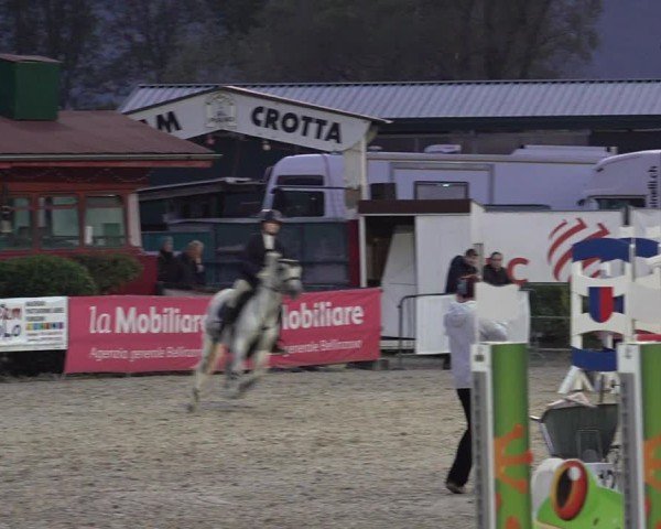 Reitturnier Giubiasco 2024