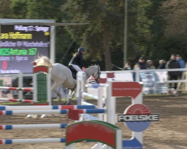 Reitturnier Teupitz 2024