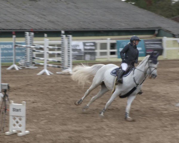 Reitturnier Teupitz 2024