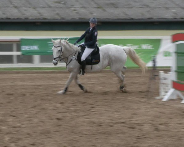 Reitturnier Teupitz 2024