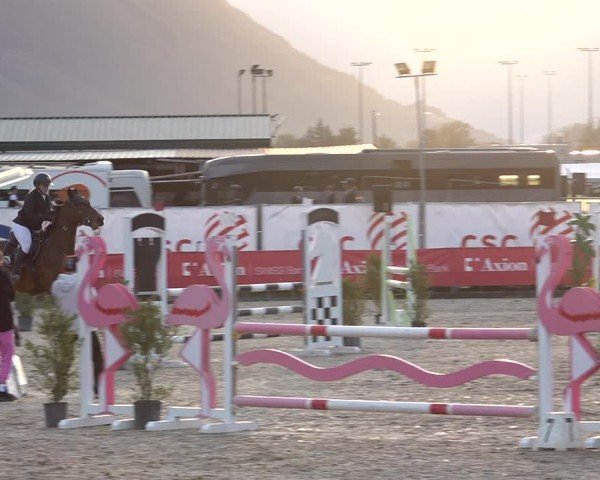 Reitturnier Giubiasco 2024