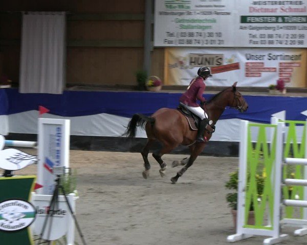 Reitturnier Gadebusch 2024