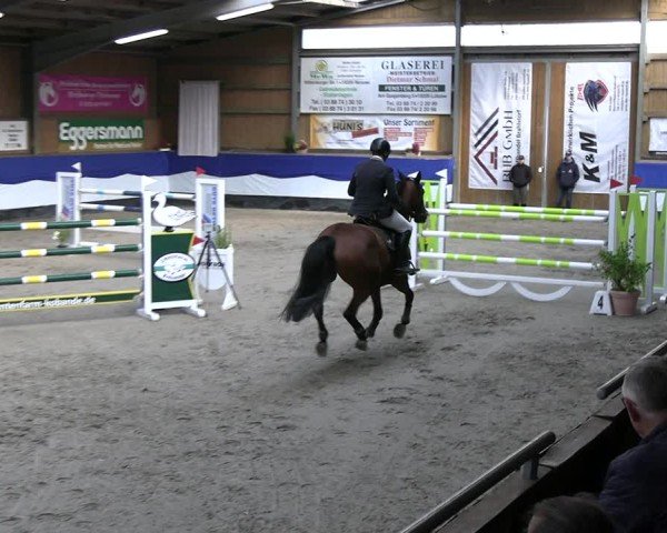 Reitturnier Gadebusch 2024
