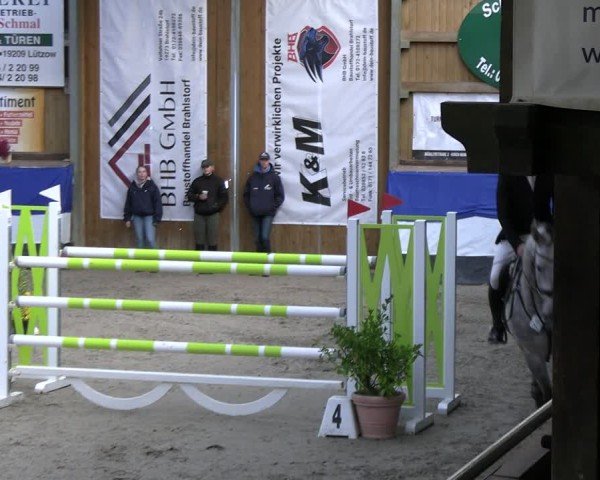 Reitturnier Gadebusch 2024