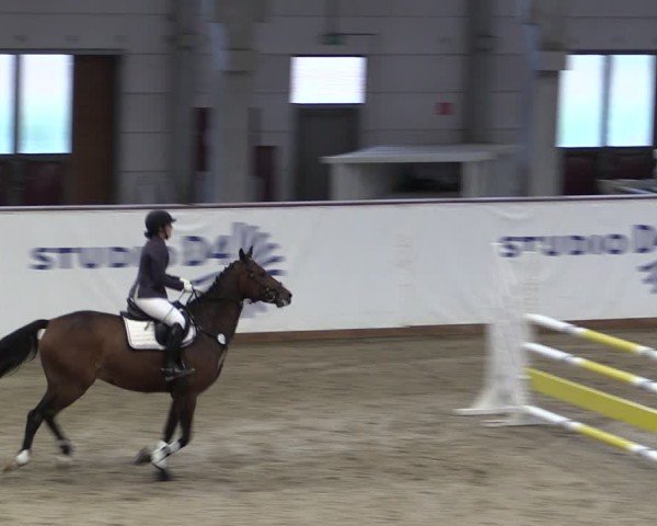 Reitturnier Prussendorf 2024