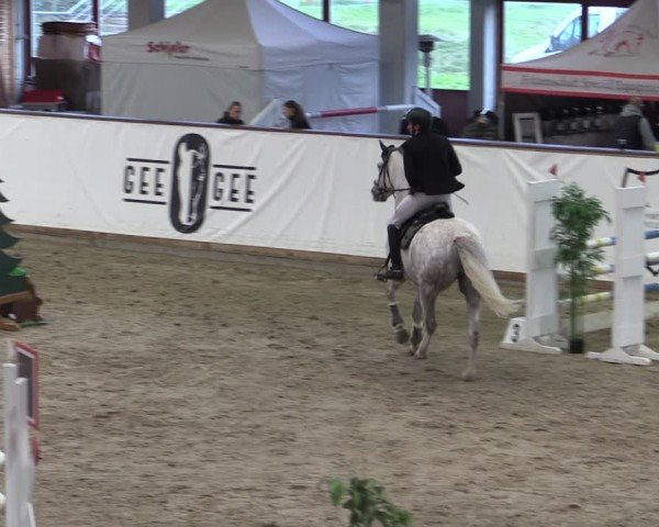 Reitturnier Prussendorf 2024